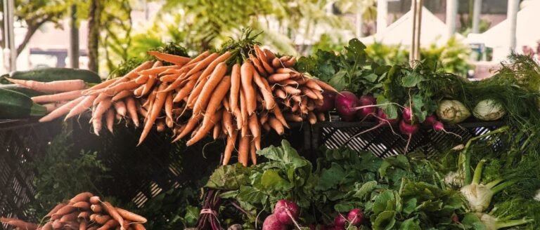 Fibres alimentaires