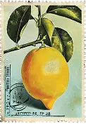 timbre citron