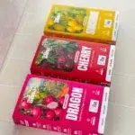 Pack boissons solides 3 saveurs